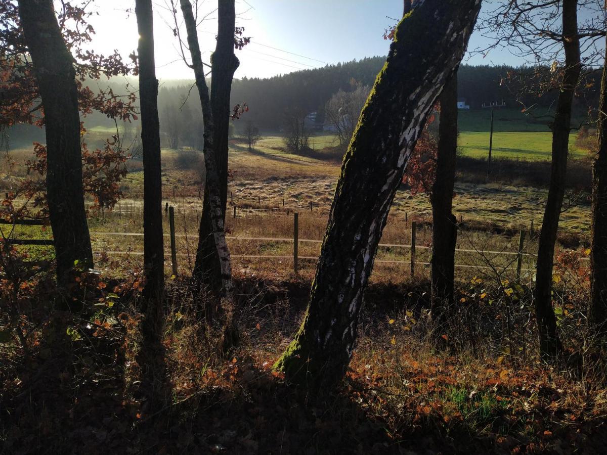 Cu-Ferienwohnungen - Nur Fuer Urlaubsgaeste Grafenwiesen Exterior foto