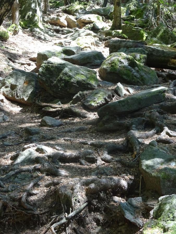 Cu-Ferienwohnungen - Nur Fuer Urlaubsgaeste Grafenwiesen Exterior foto
